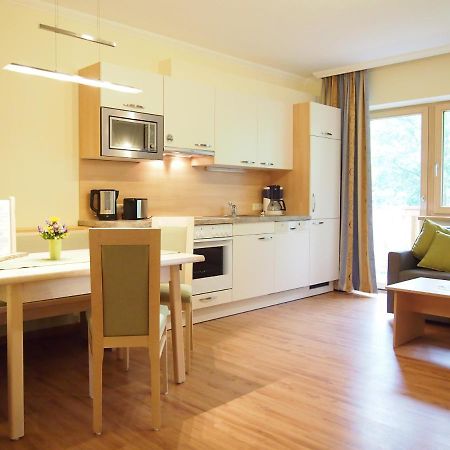 Appartements Wiesbach Ramsau am Dachstein Zewnętrze zdjęcie
