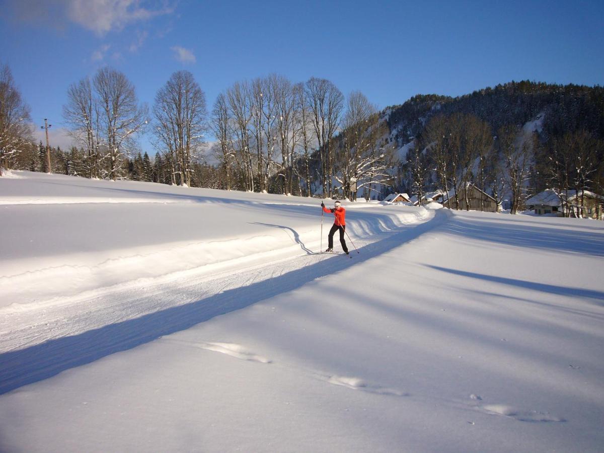 Appartements Wiesbach Ramsau am Dachstein Zewnętrze zdjęcie
