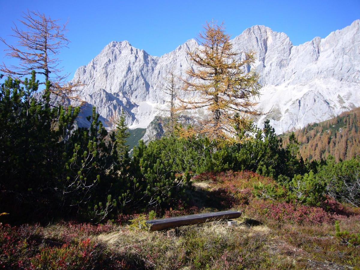 Appartements Wiesbach Ramsau am Dachstein Zewnętrze zdjęcie